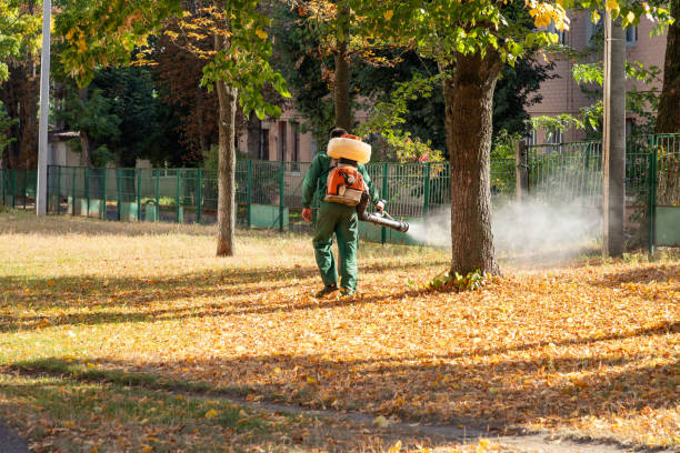 Pest Prevention Services in Hanover, PA